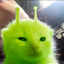 meow's avatar